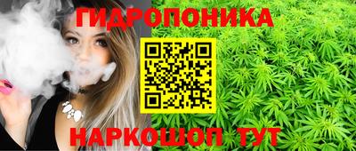 крисы Гуково