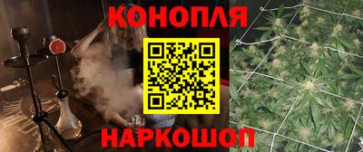 крисы Гуково