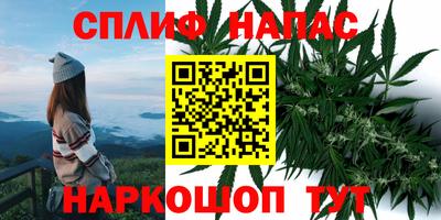 крисы Гуково