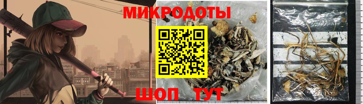 Псилоцибиновые грибы прущие грибы Бирск
